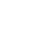 icon-spy